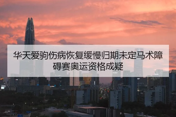 华天爱驹伤病恢复缓慢归期未定马术障碍赛奥运资格成疑